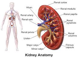 surgery-image