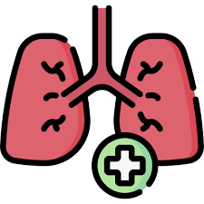 kidney-image